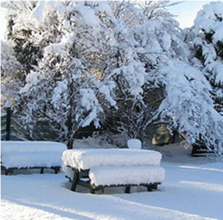 Jack In The Green Garden Rooms Hanmer Springs Exteriér fotografie