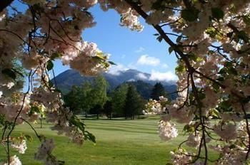 Jack In The Green Garden Rooms Hanmer Springs Exteriér fotografie